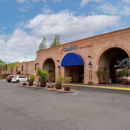 Comfort Suites At Sabino Canyon Тусон Экстерьер фото